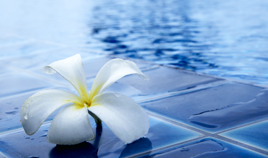 Infinity Pool Services